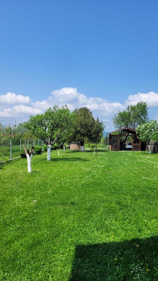 Casa Dana Villa Rîşnov Dış mekan fotoğraf